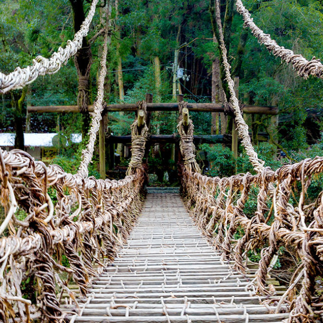 The Vine Bridges of Iya Valley - 800 Years of History