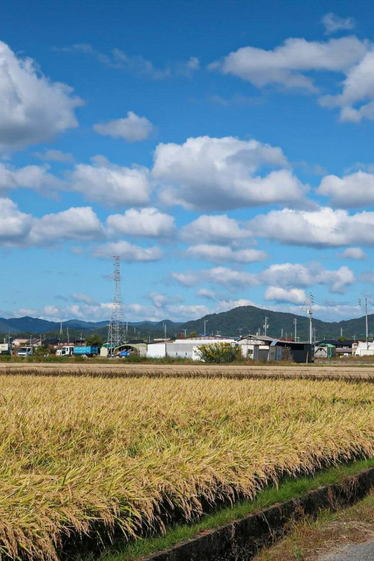 Genießen Sie ländliche Landschaften und japanisches Kulturerbe auf dem Kibiji-Radweg
