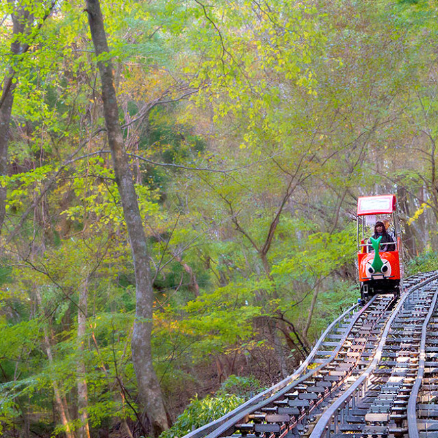Oku Iya Valley Monorail - A hiking trail on wheels