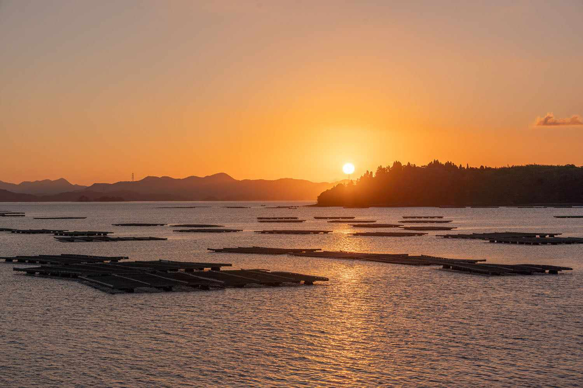 瀬戸内海に浮かぶ東広島の無人島「龍王島自然体験村」 | 瀬戸内Finder