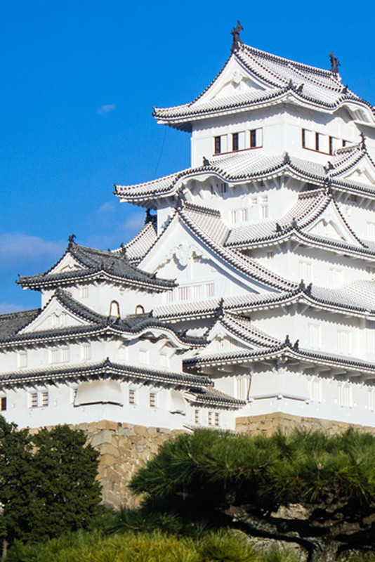 Himeji Castle - The White Heron