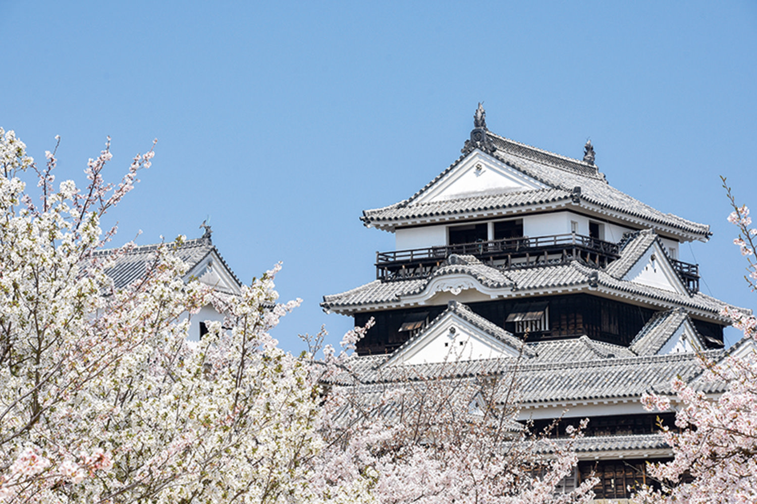 迷路の宮殿 Motonosumi Shrine | Authentic Japan: Setouchi