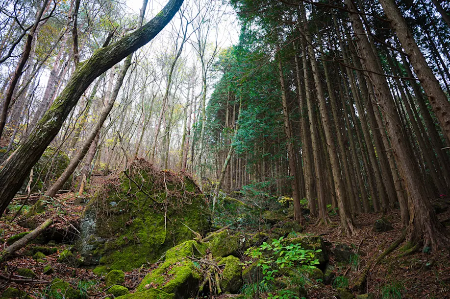 Hiking hiroshima