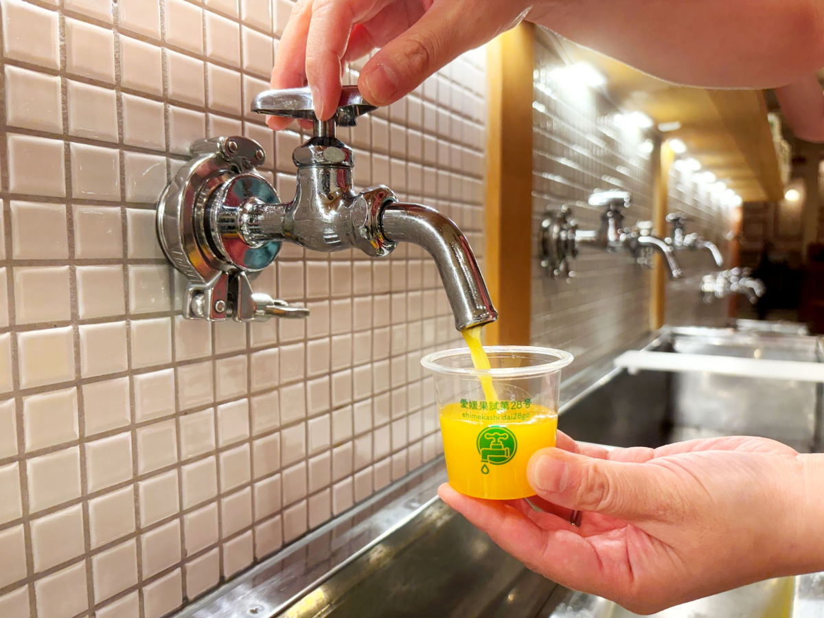 あの都市伝説は本当だった！？道後でみかんジュース蛇口＆ぽかぽか足湯