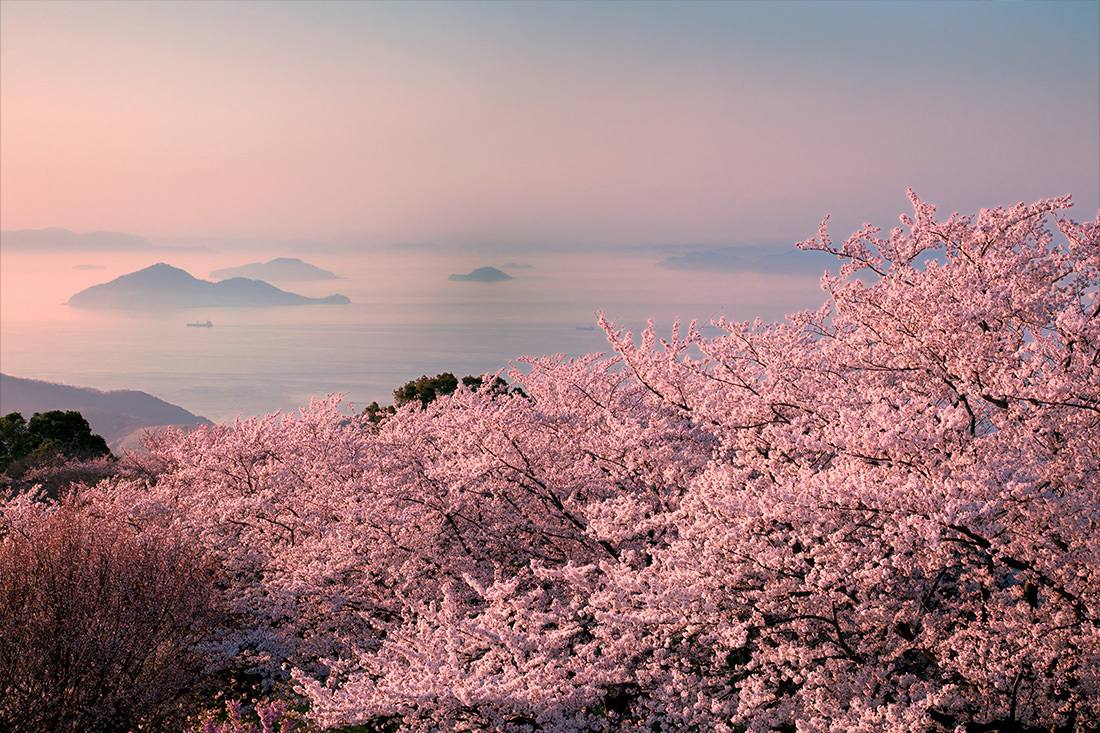 海・自然