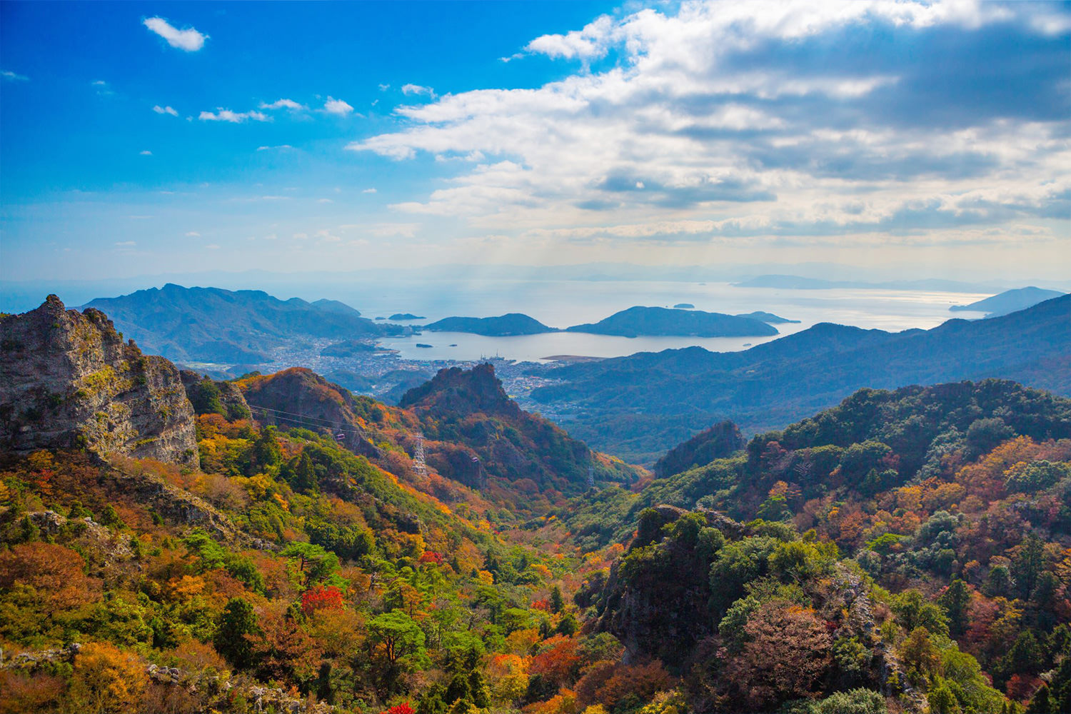 お盆　１０枚　山と海の風景 楽天市場】10枚セット トレー お盆 木製 舟型 正角盆 30×30cm 茶