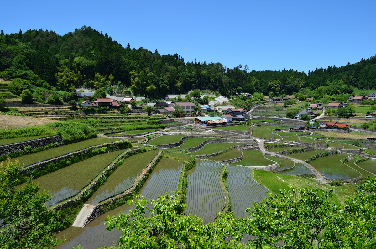 絶景!日本の棚田百選「井仁の棚田」を一望できる『棚田カフェ