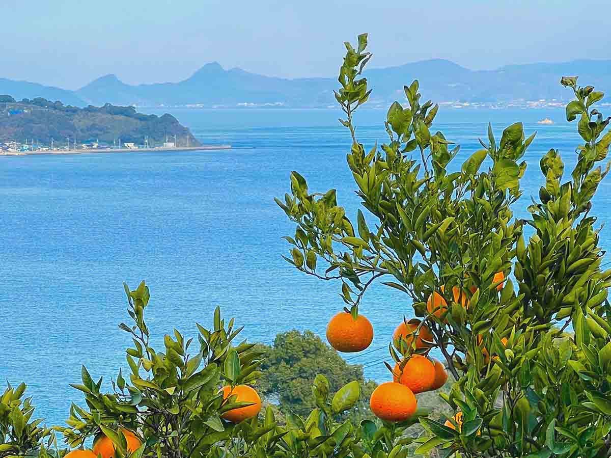 瀬戸内の島遊び、やりたいことが全部叶う島／興居島（愛媛県松山市） | 瀬戸内Finder