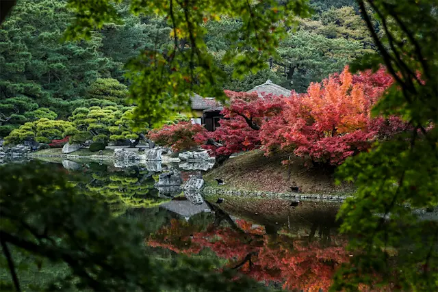 徳島県・香川県・愛媛県の定番観光スポットめぐり／祖谷温泉、栗林公園、金刀比羅宮、道後温泉