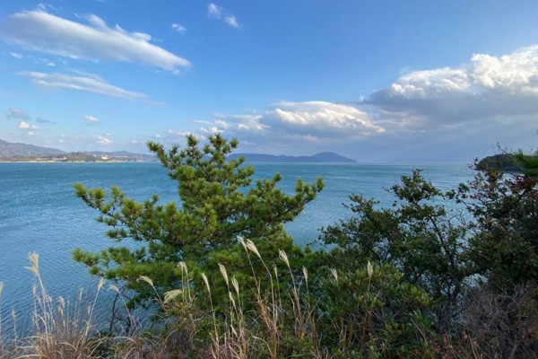 Mit dem privaten Taxi durch das fotogene Shōdoshima