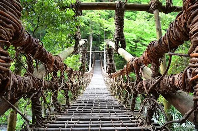 日本三大秘境『祖谷』の吊り橋の秘密／かずら橋（徳島県三好市西祖谷山村）