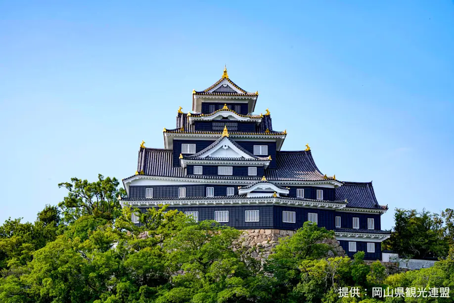 岡山城がリニューアル！ 関ヶ原の戦いや忍者との深い関係／岡山城（岡山県岡山市） | 瀬戸内Finder