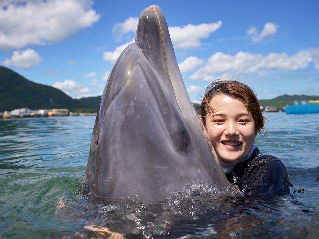 日本ドルフィンセンター | 瀬戸内Finder