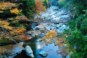 Shikoku Voted Best in Travel 2022