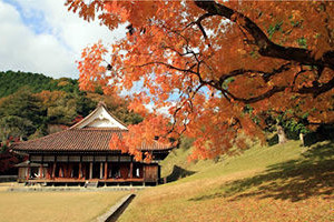 More than anywhere else,     the life of the Japanese is punctuated by the 4 seasons and the changes of nature ...
