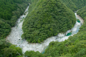 Lonely Planet chooses Japanese island as one of the best travel destinations for 2022 Shikoku