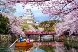 Where and when to see Japan's cherry blossom