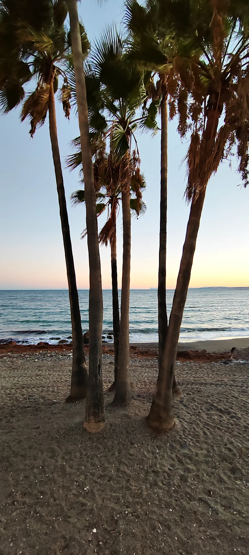 estepona_beach_1
