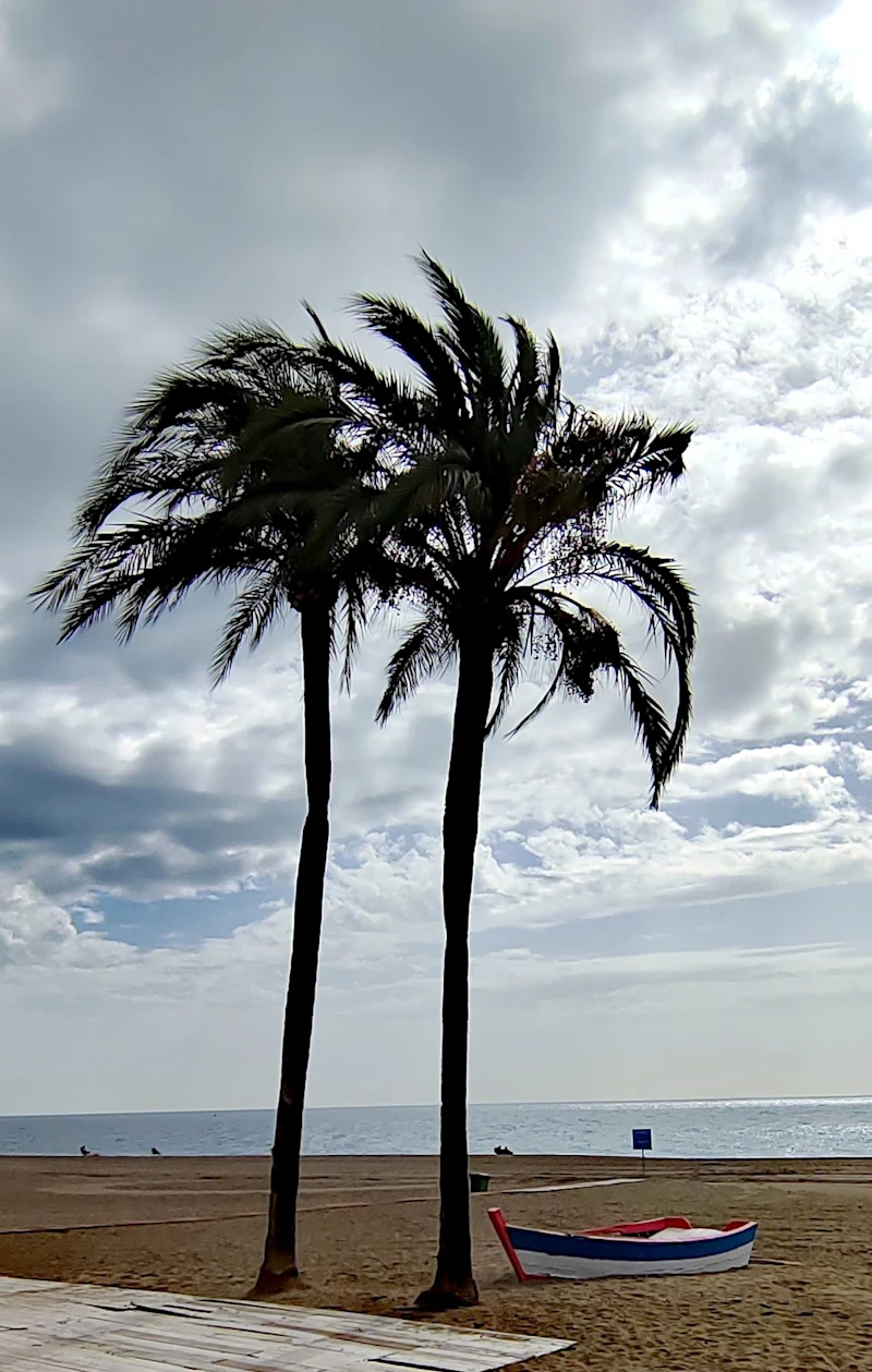Estepona Strand Promenade Baum und Boat