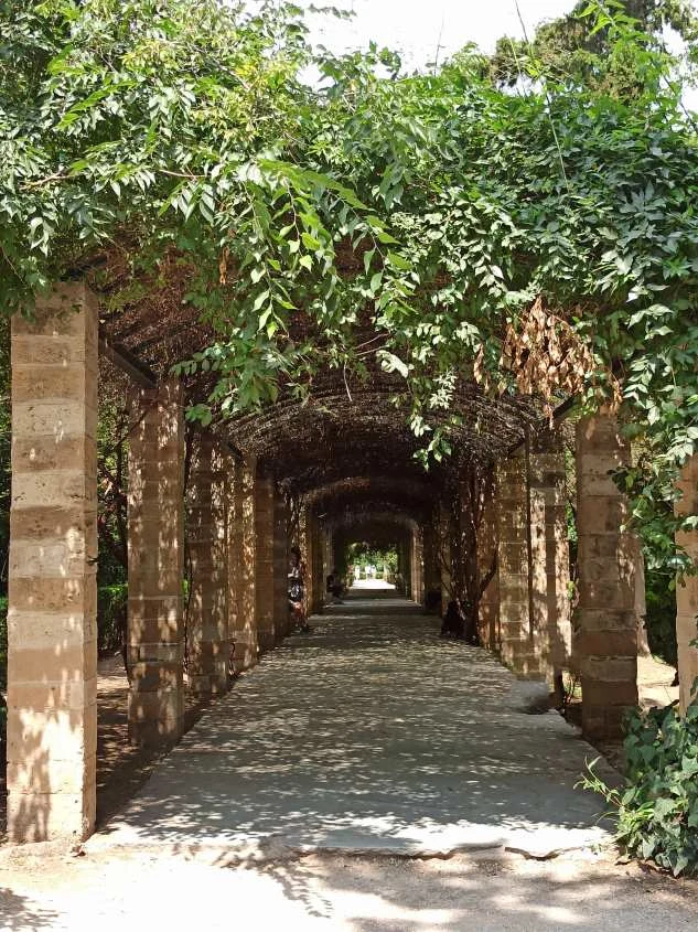 Athen National Park 6