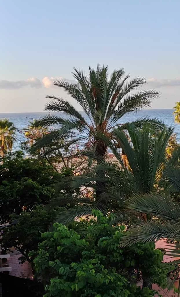 Estepona Hotel Plaza Meerblick