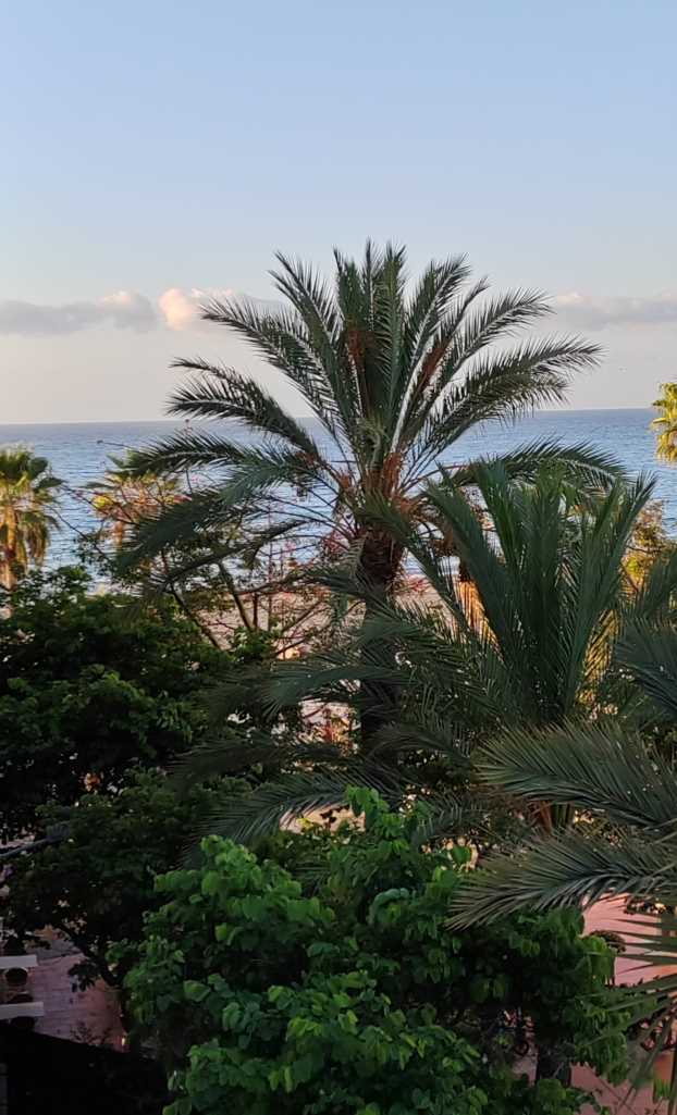 Estepona Hotel Plaza Meerblick