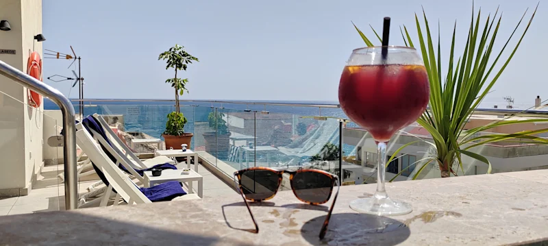 Hotel Plaza Estepona Pool