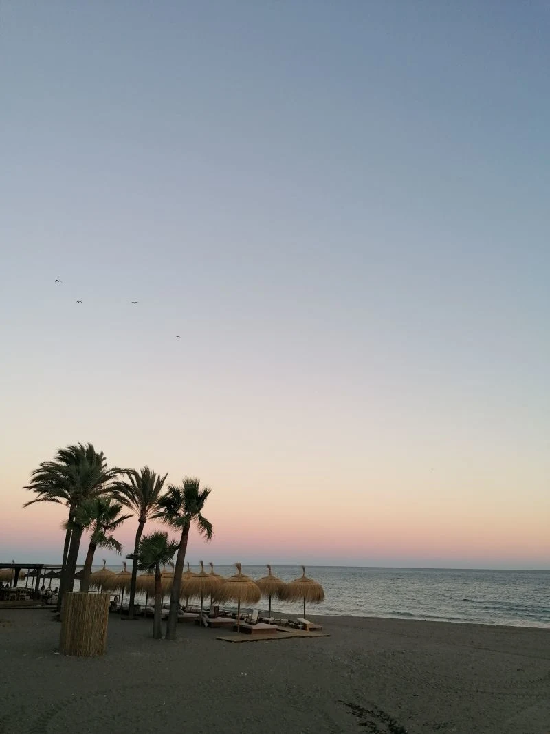Estepona beach club
