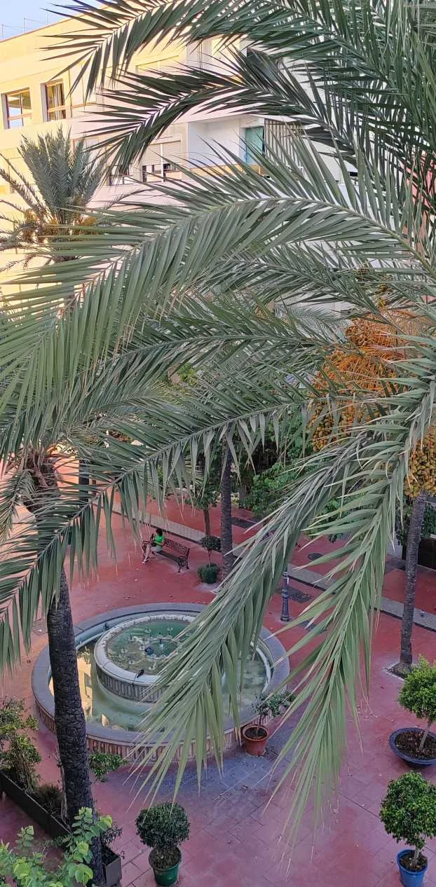 Hotel Estepona Plaza Zimmer Ausblick