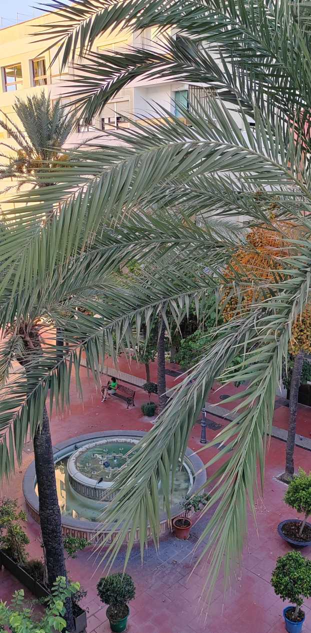 Hotel Estepona Plaza Zimmer Ausblick