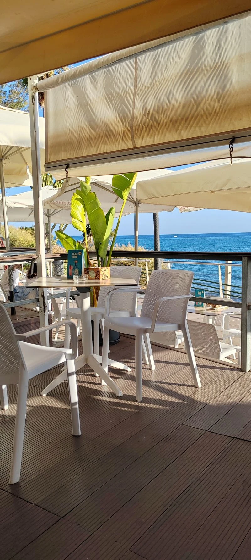 estepona_La Buena Vida_design