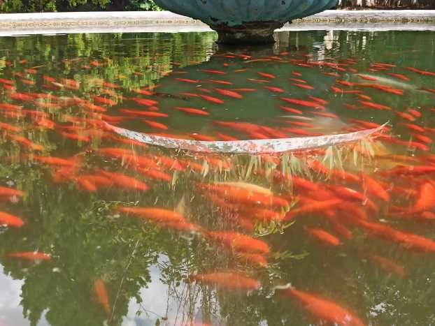 Athen National Park 2