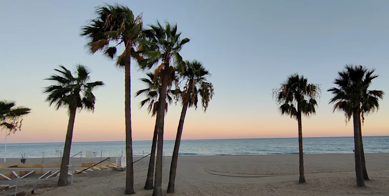 Estepona Strand Promenade Bäume