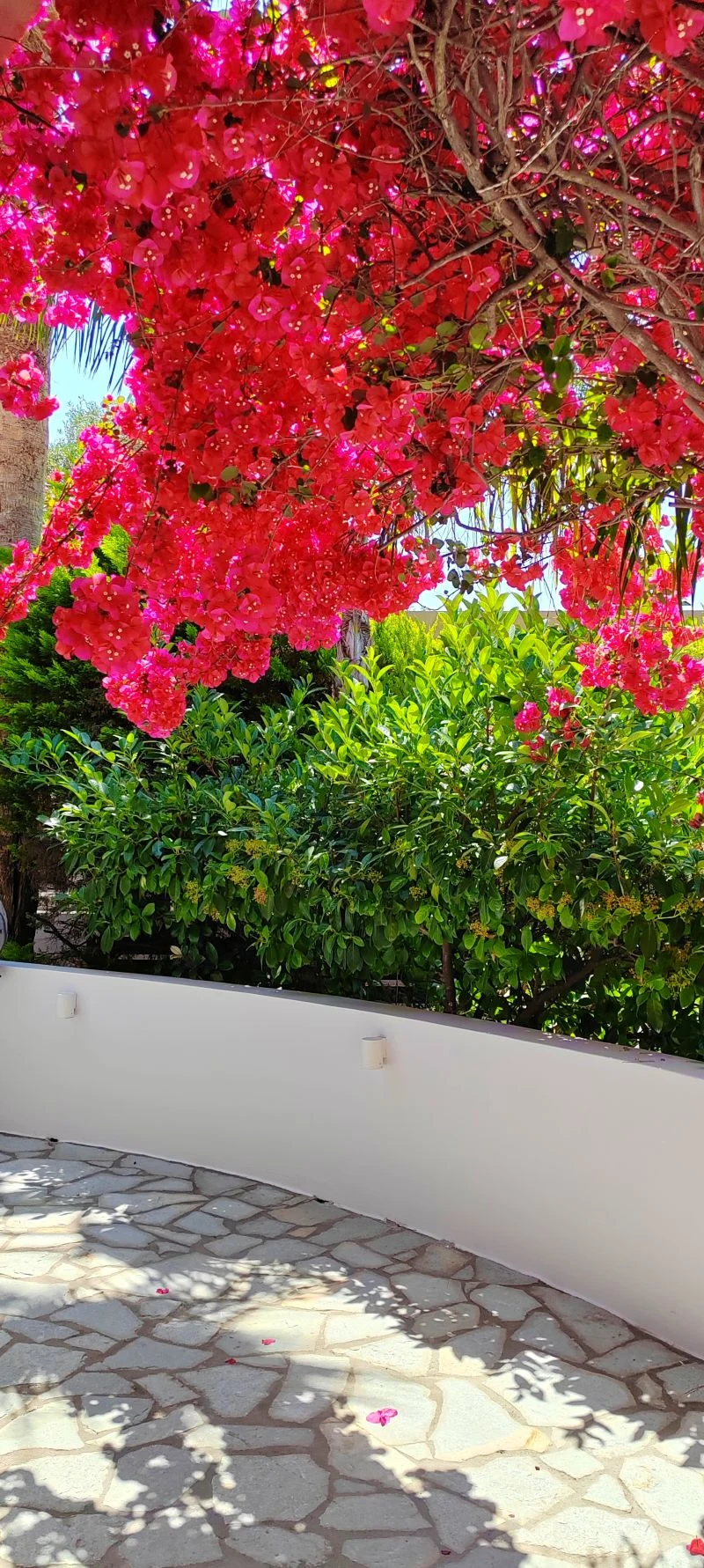 bahia_mare_outside