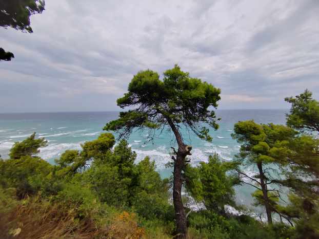 Cassandra Dias Tavern Aussicht 2