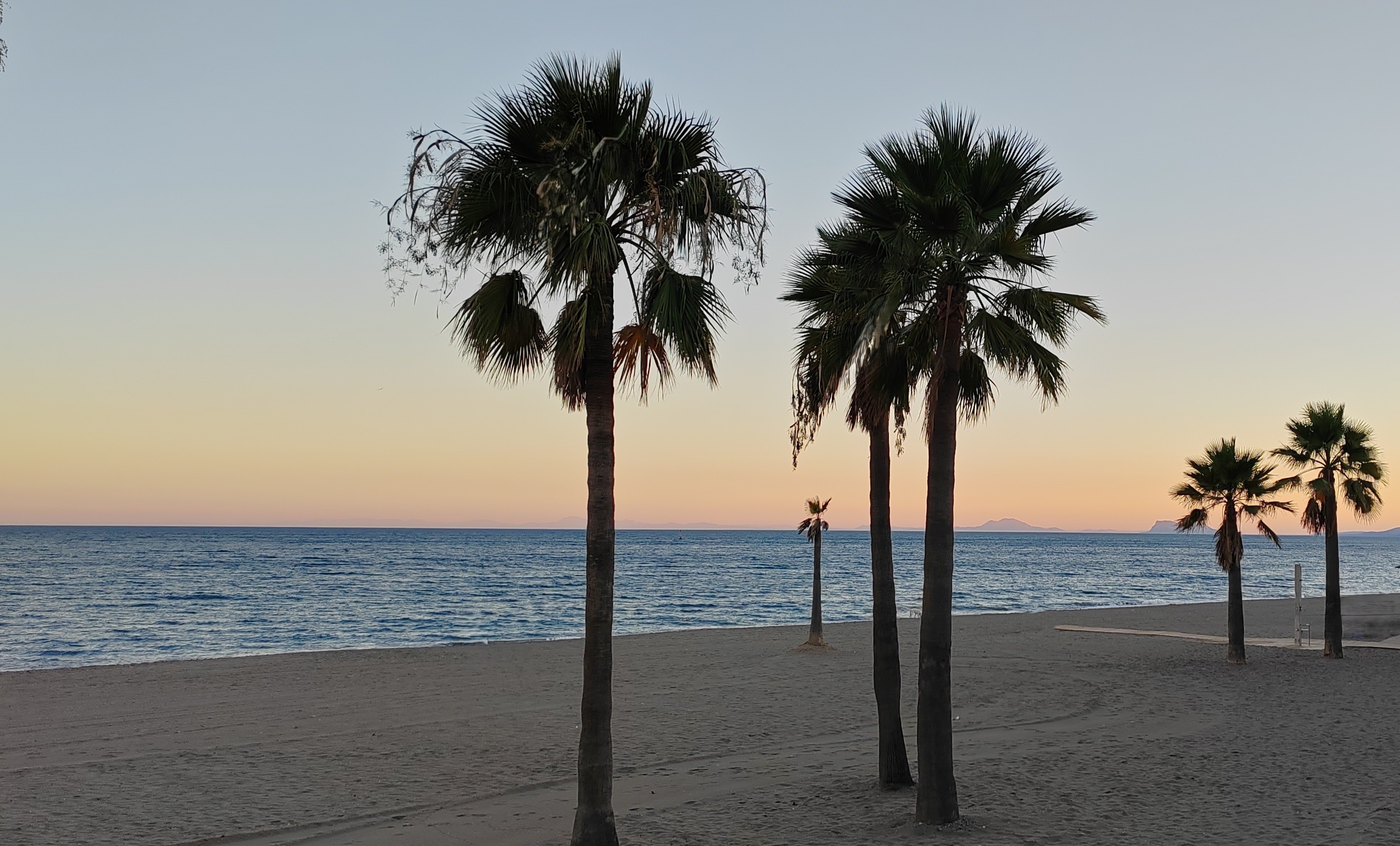 Estepona erleben: Sonne, Strand & Genuss