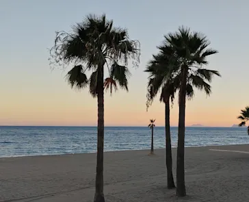Estepona erleben: Sonne, Strand & Genuss