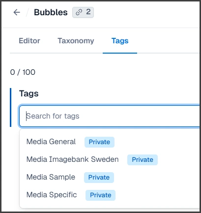 An example of tags used on an image asset.