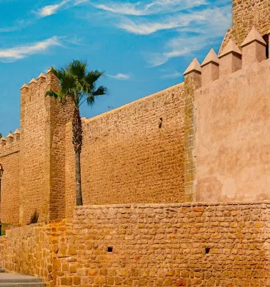 rabat-banner.png