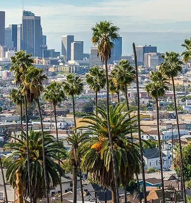 los-angeles-banner.jpg