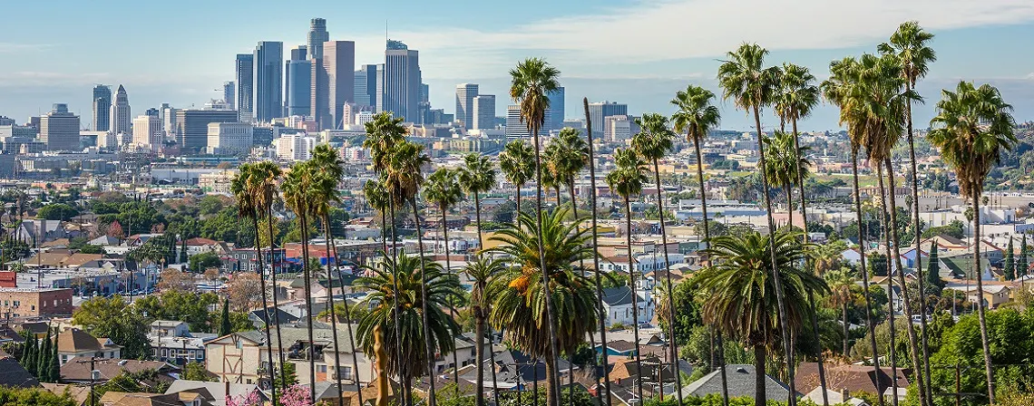 los-angeles-banner.jpg