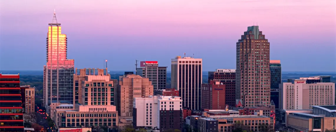 raleigh-banner.png