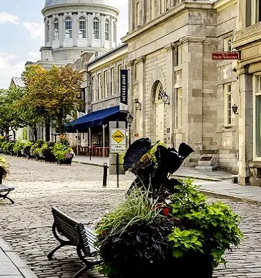 montreal-bannr.jpg
