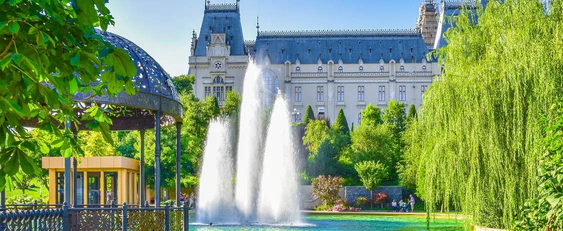 iasi-banner.jpg