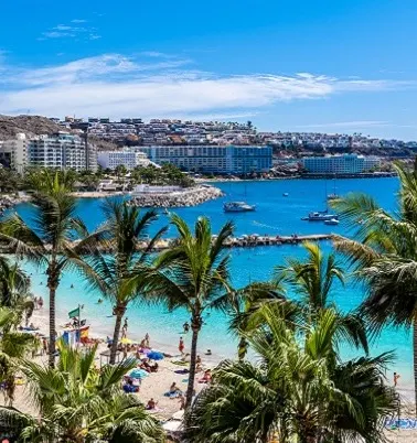 gran-canaria-banner.jpg