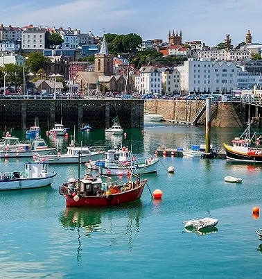 guernsey-banner.jpg