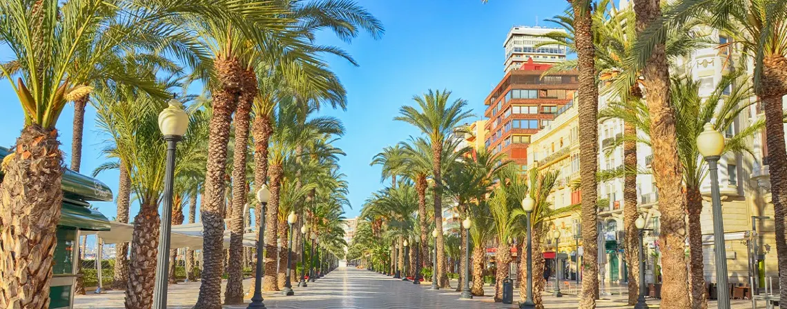 alicante-banner.jpg