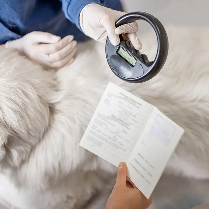 Pet documentation