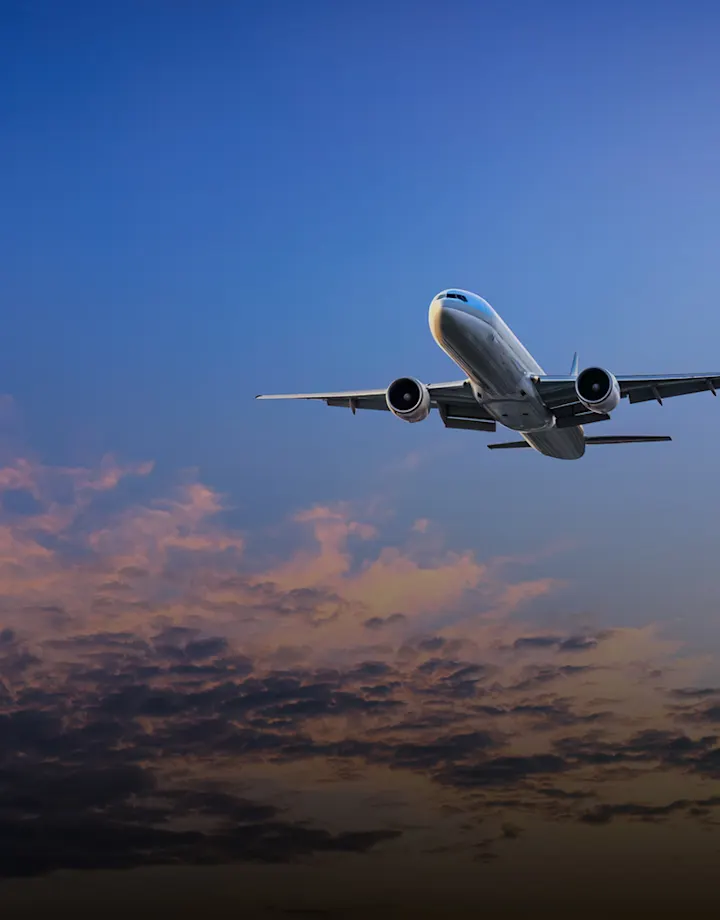 Flight information hero