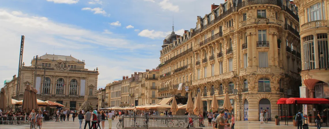montpellier-banner.png